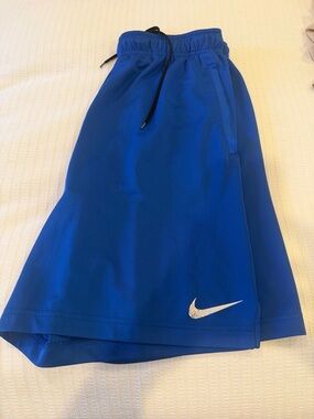 Nike Royal Blue Men's Athletic Shorts